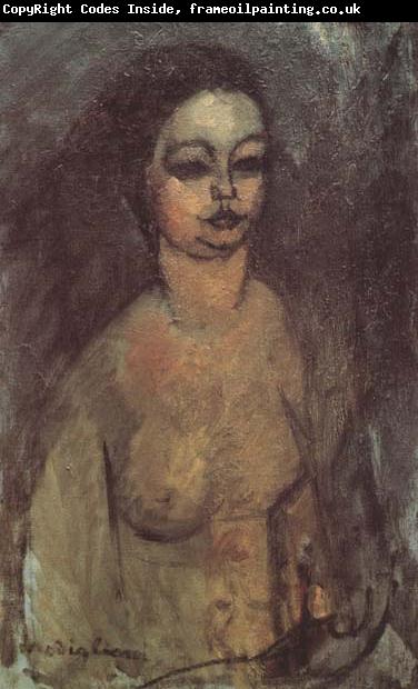 Amedeo Modigliani Jeune fille nue (mk38)